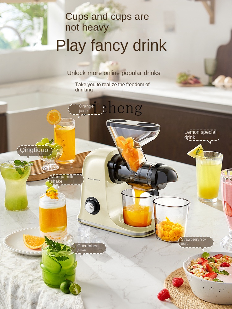 cc28 Low Speed Juicer Juicer S - đánh giá và giá Juicer