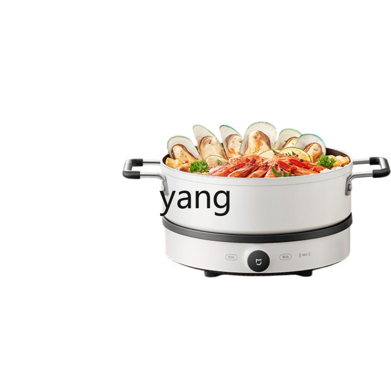 LMM  Induction Cooker Househol - đánh giá và giá Induction Cooker
