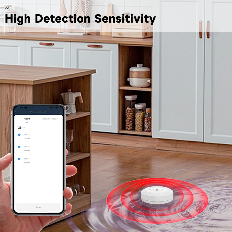 Tuya ZigBee Smart Water Leak S - đánh giá và giá Kitchen Appliances Video