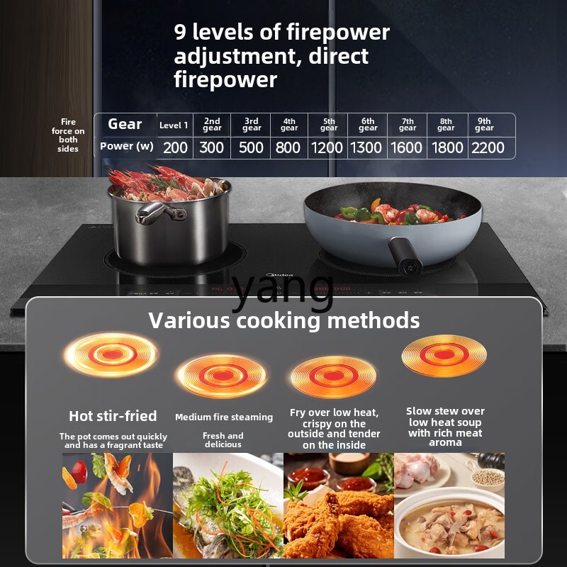 CX  induction cooker double st - đánh giá và giá Induction Cooker